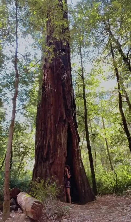 Jenners best actress photos