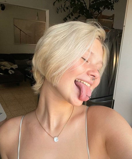 Nikaromm model images