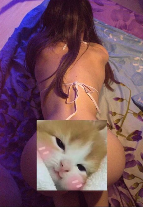 kitty wet onlyfans free pic