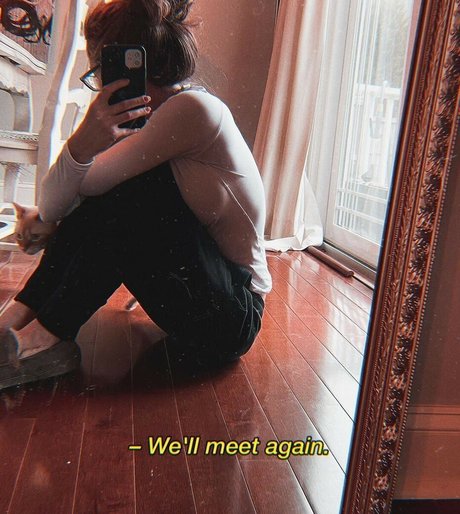 White Cat Whispers ASMR beautiful star images