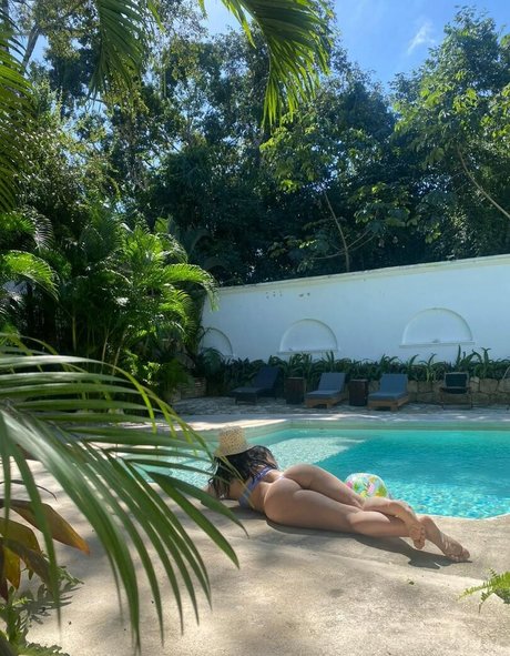 Felitrigo star xxx image