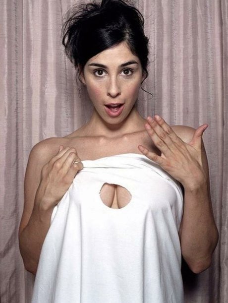 Sarah Silverman adult star archive