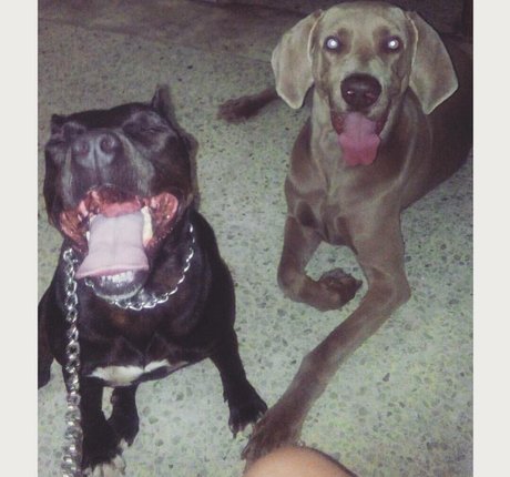 footjob onlyfans naked archive