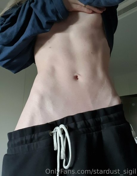 Stardust Sigil model free img