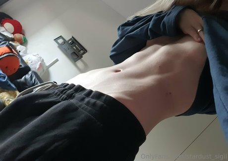 Stardust Sigil hd model photo