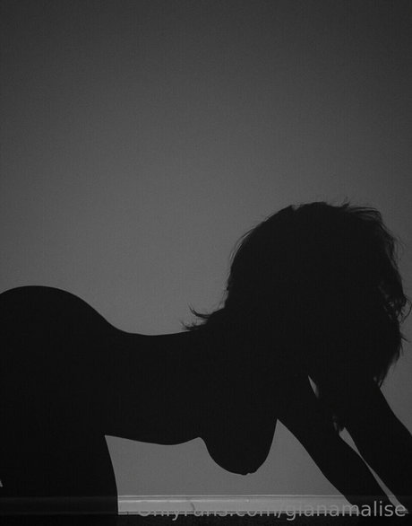 Giana Malise pornstar perfect galleries