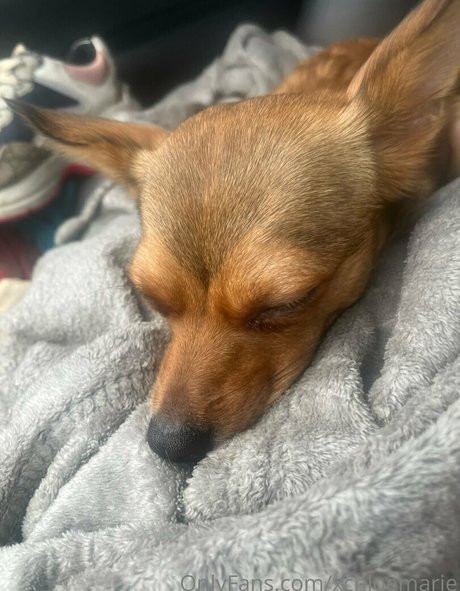 blonde tits onlyfans hot xxx pictures