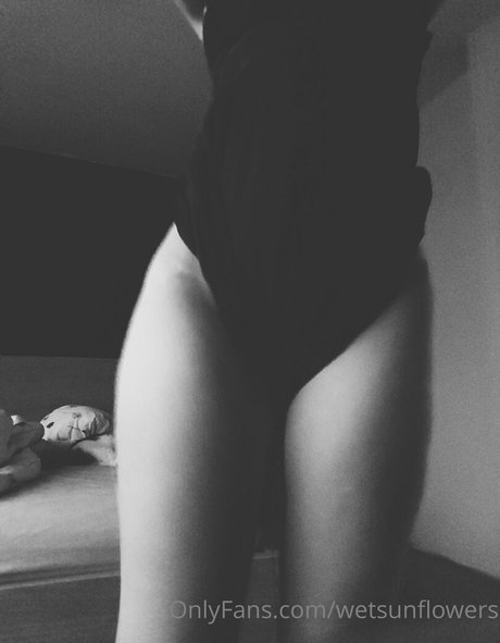 wetsunflowers star pornographic pic