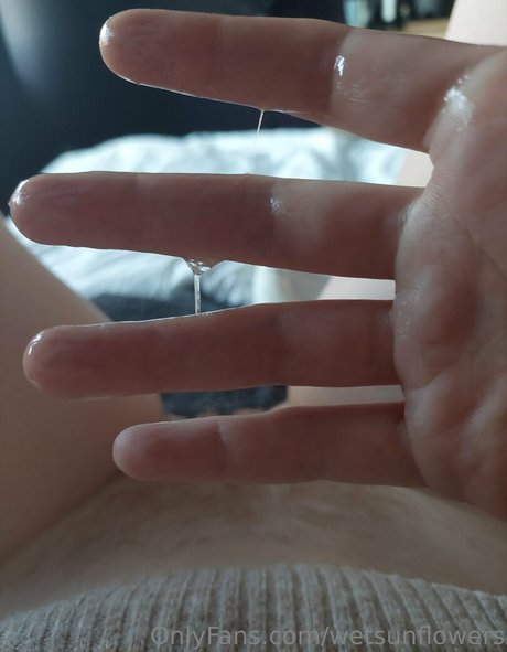 wetsunflowers hd pornstar picture