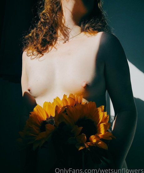 wetsunflowers star sexy img