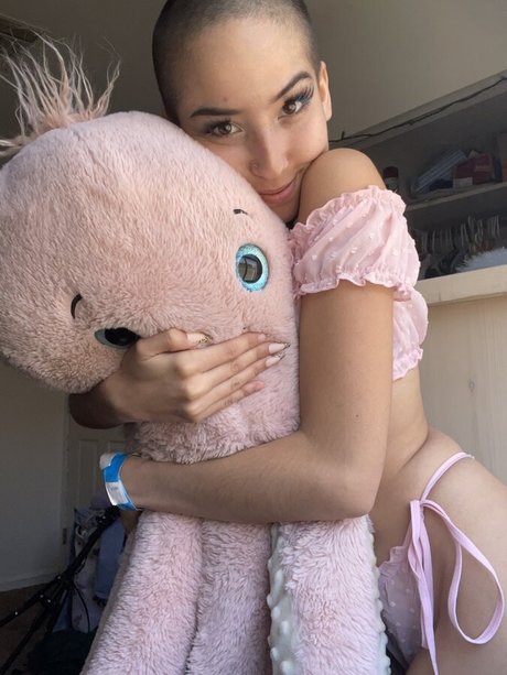 lego lass exclusive star picture