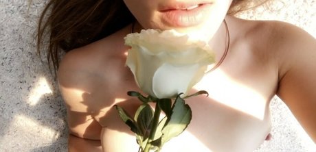 missharperlane nice pornstar pic