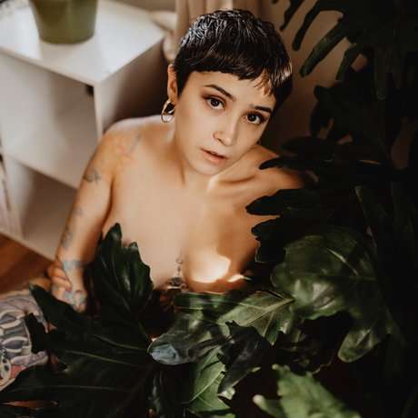 Jaclyn pornographic star picture