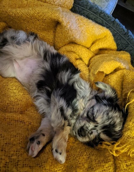 freckles onlyfans sexy nude gallery