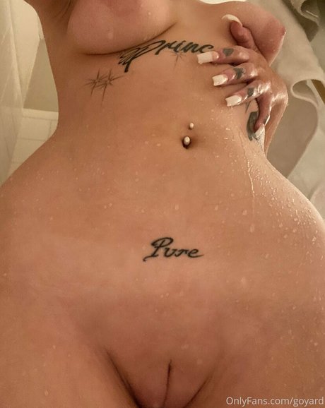 Goyard Wallet art star photo