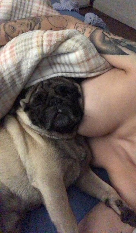 Trizpac sexy pornstar images