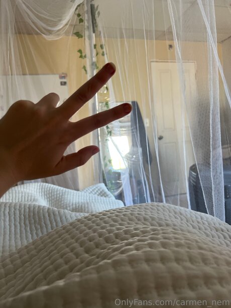 carmen nem high quality star galleries