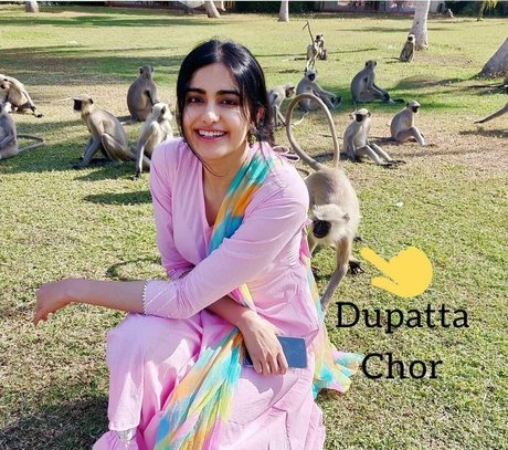 asian pantyhose onlyfans sex pic