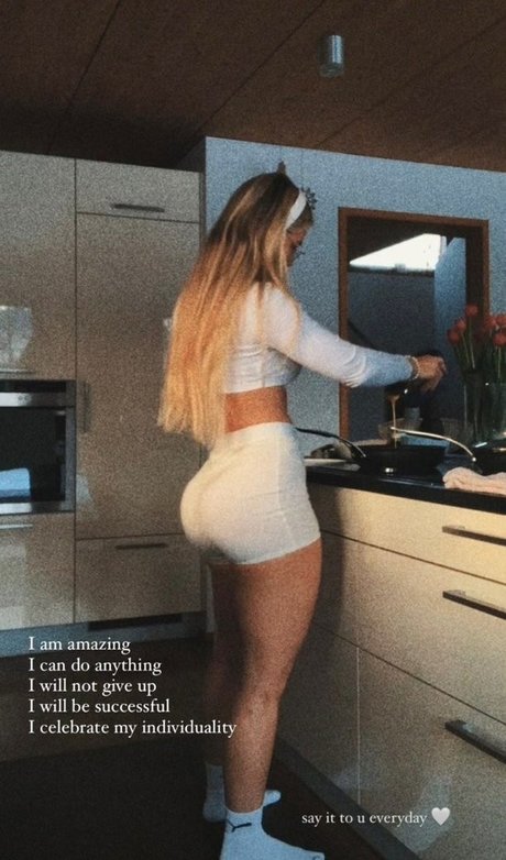 Hannabaumnn model pretty img