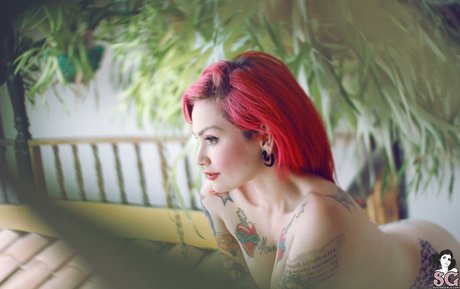 blowbang onlyfans nice galleries