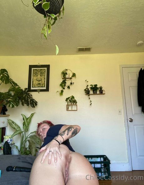 Chloe Cassidy best star image