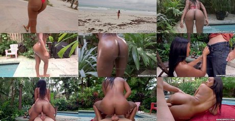 Arianna Knight pornstar adult galleries