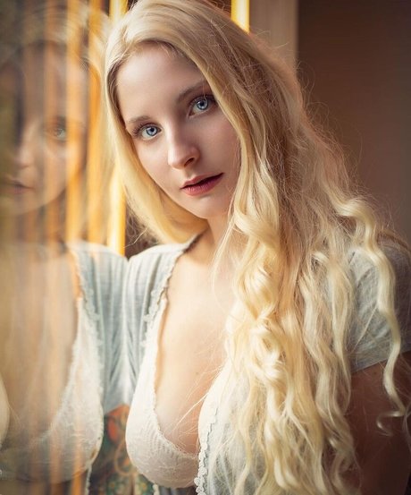 Swann SG model high quality photo