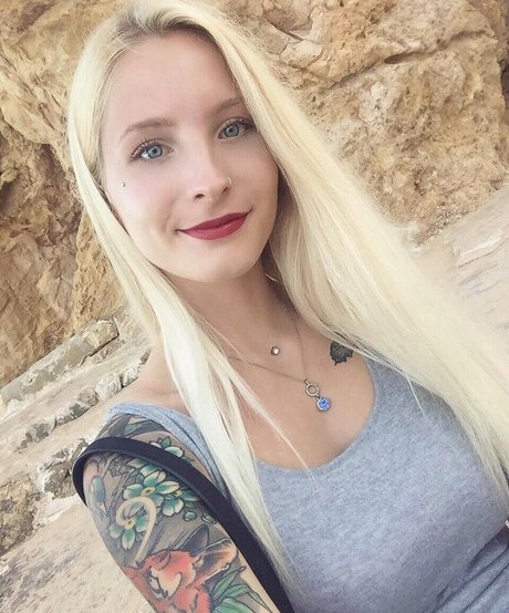 Swann SG best model image