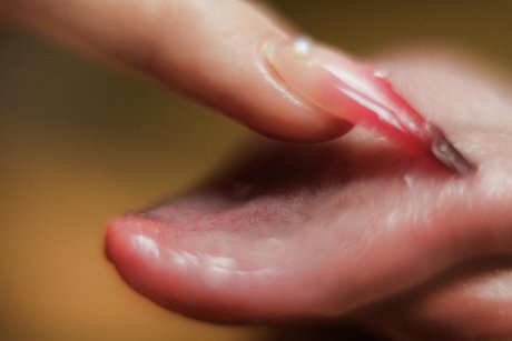 naughty onlyfans hot nude gallery