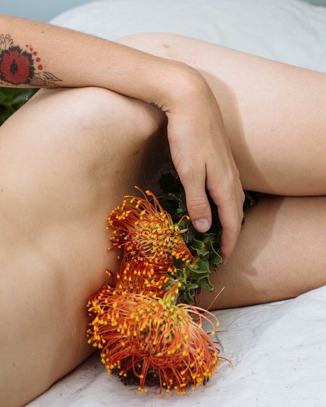 Carly Foulkes adult actress img