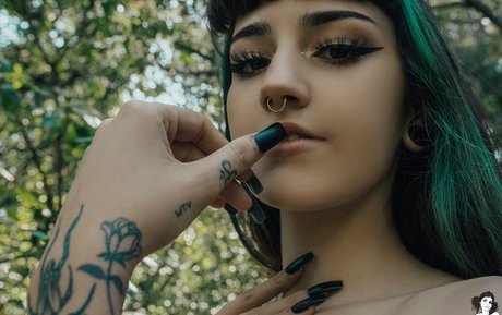 Lunathefairyy nice star galleries