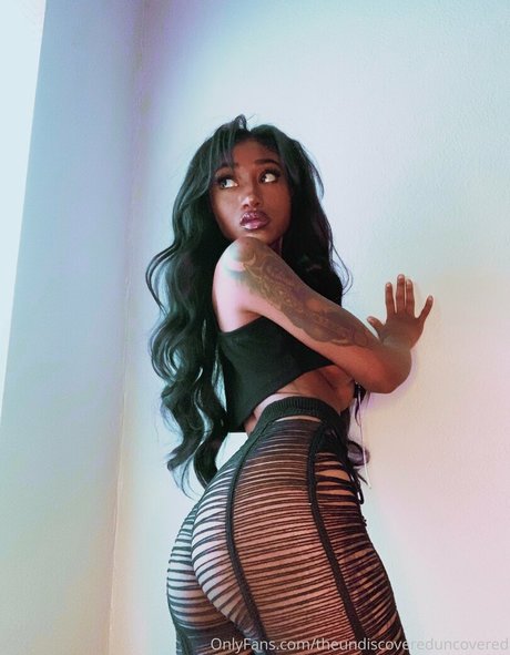 Theundiscovereduncovered pornographic star galleries