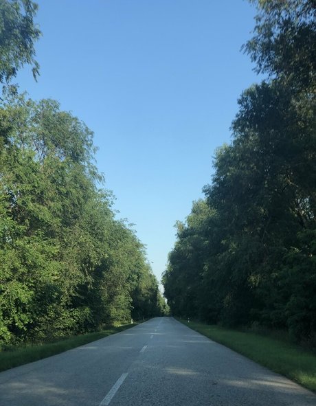 princess asian onlyfans art porn photos