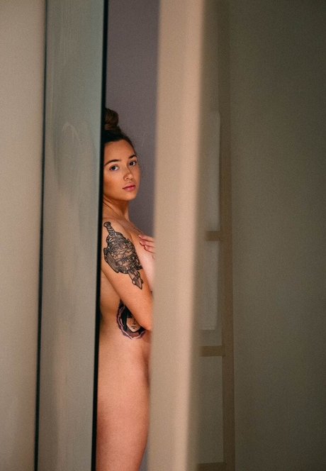 Torias Secret pornstar high quality galleries