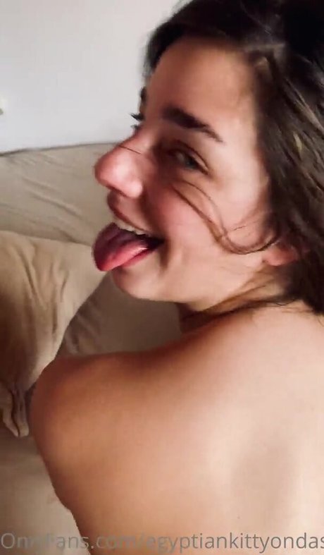 Egyptian Kitty star high quality photos