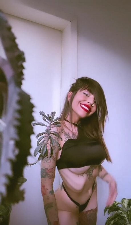 lellycristie star top img