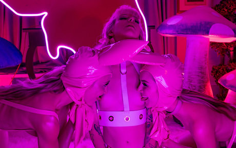 Demon Poptart porn star img