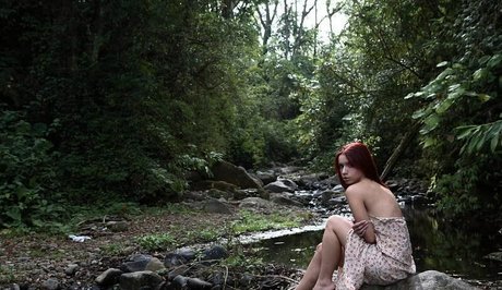 dark nipples onlyfans adult image