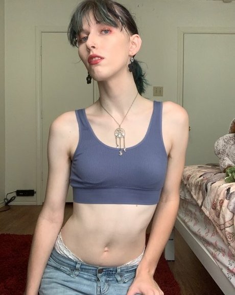 Starlite Anise pretty star galleries