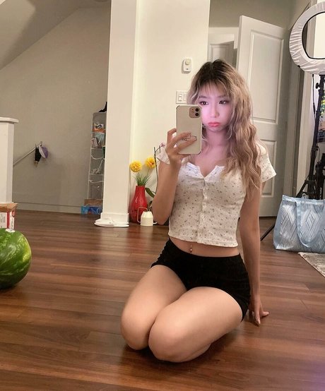 winterfaerie nice model archive