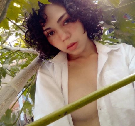 Maiyagami star free images