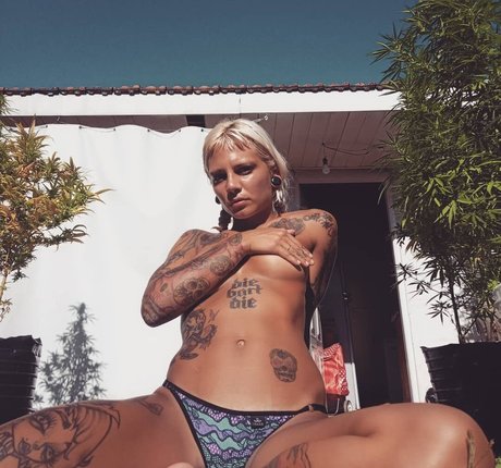 pp4ww hd model image