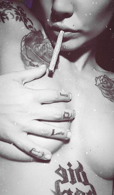 pp4ww model perfect picture