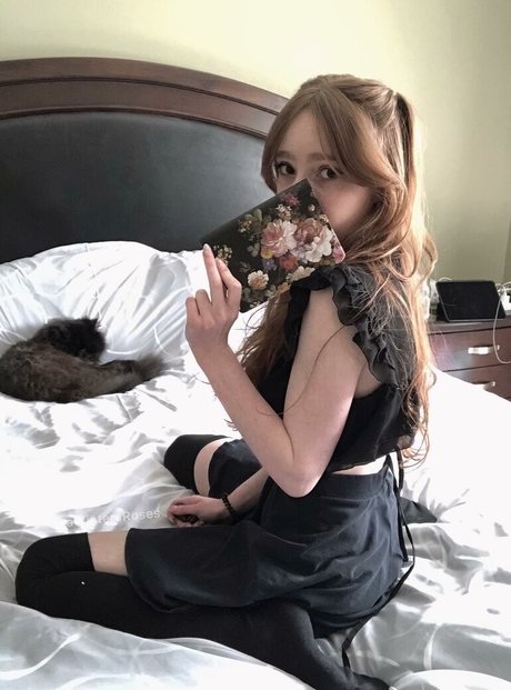 AWintersRoses hd model image