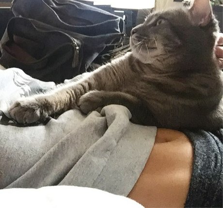 twomgovercsquared hot pornstar photos