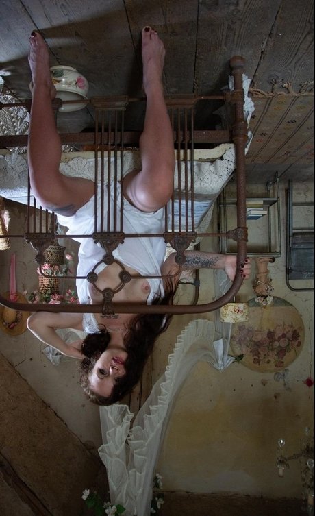 Grinsebaeckchen star perfect photos