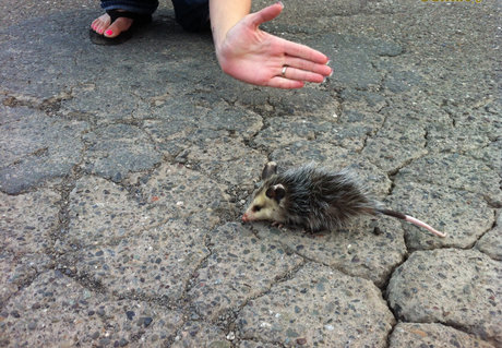 bikini sex onlyfans art nude photos