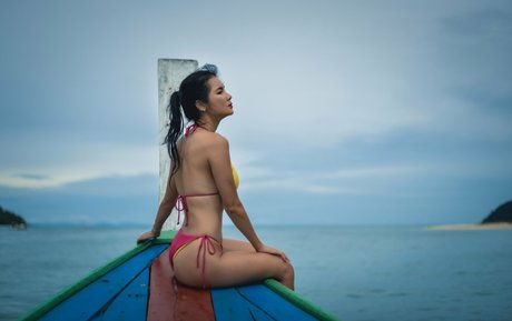 Natt Kejsarin nice star archive