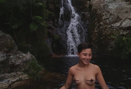 Laubrasil star art images