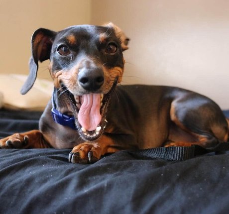 big ass ebony milf onlyfans beautiful xxx archive